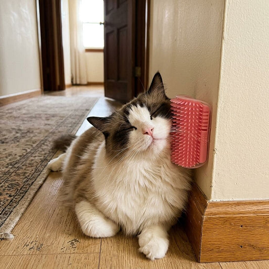 Cat Self Groomer with Catnip — Wall Corner Mount